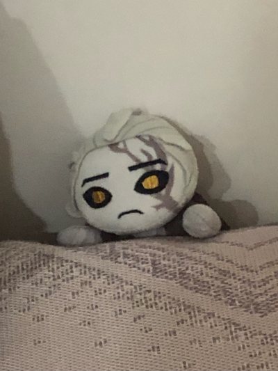 啊啊啊隐隐太萌了 没忍住立马下单了 煤炉里面的比国内其他很多平台都便宜许多 实在是爽哦！???


