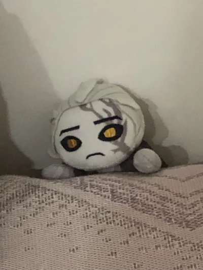 啊啊啊隐隐太萌了 没忍住立马下单了 煤炉里面的比国内其他很多平台都便宜许多 实在是爽哦！???


