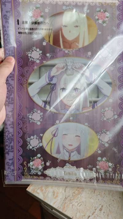 这个是3张re0的文件夹，全新，虽然看上去不怎么样但是价格十分亲民，还有可爱的艾米莉亚在首页，re0粉丝们不要错过哦


