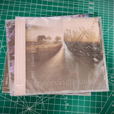 用挖煤姬购买了一些CD，运输选择海运二十多天顺利到货，付款收货流程简单使用方便，手续费比较低，经常日淘比较推荐使用。