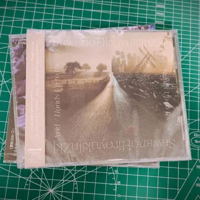 用挖煤姬购买了一些CD，运输选择海运二十多天顺利到货，付款收货流程简单使用方便，手续费比较低，经常日淘比较推荐使用。