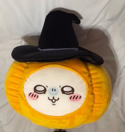 任意门切的小飞鼠又到啦