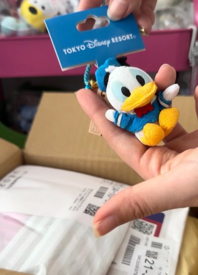 26年2月挖煤开箱分享来咯～ 又是存了很久的一箱可爱毛绒玩具，有唐老鸭、史迪仔、百亩森林和好朋友们！挖煤姬的快递还是一如既往得快，赞赞赞！
  
