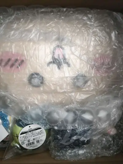 切一些玩偶挂件，因为是下单秒切所以不用担心被别人抢先，安心吃到了好价!物流走的竹蜻蜓，包税是非常好的，用时两周左右。今天收到后开箱发现物品摆放整齐，外围裹了泡沫纸防震，每一个物品都完好无损(▽｀)。购物体验感非常好!有什么问题客服也能帮忙积极解决。