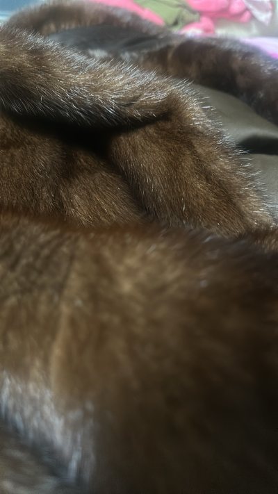 任意门买到了合适的衣服