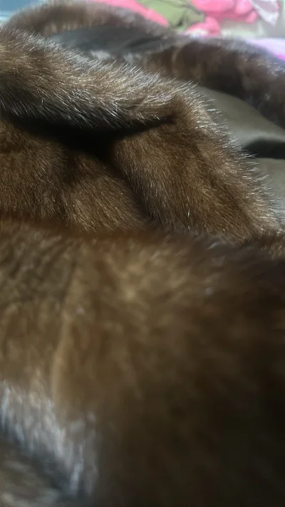 很漂亮的一件外套，手感很好，深棕色的衣服很漂亮，跟巧克力一样，丝滑柔软。ems邮政很快就运送到家了，快递员也很负责。