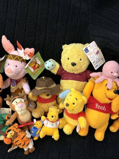 百亩森林的含金量不用多说，里面的娃成色都很好！
困困眼系列每个ip都很好看，这次被种草了阿拉丁和辛巴，颜色太美丽。