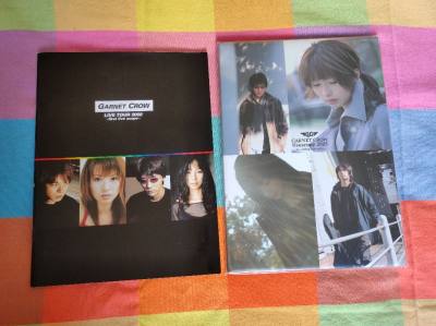 这次海淘的演唱会场刊太让人惊喜了！印刷质量远超预期，高清写真和独家幕后花絮极具收藏价值，内附艺人亲笔签名复刻页更是诚意满满。虽然物流等了近两周，但拿到实物瞬间觉得一切等待都值得，强烈推荐给同好粉丝！