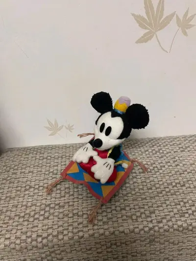 这一箱真的是各种各样米老板合集！
白脸的稀有米奇，功能好
奶呼呼的摇粒绒baby米奇
大头原皮米奇
都好好看！