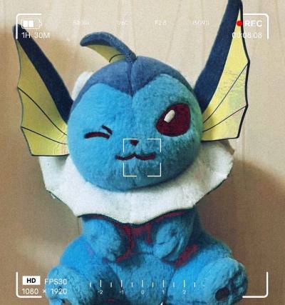 宝可梦毛绒玩具