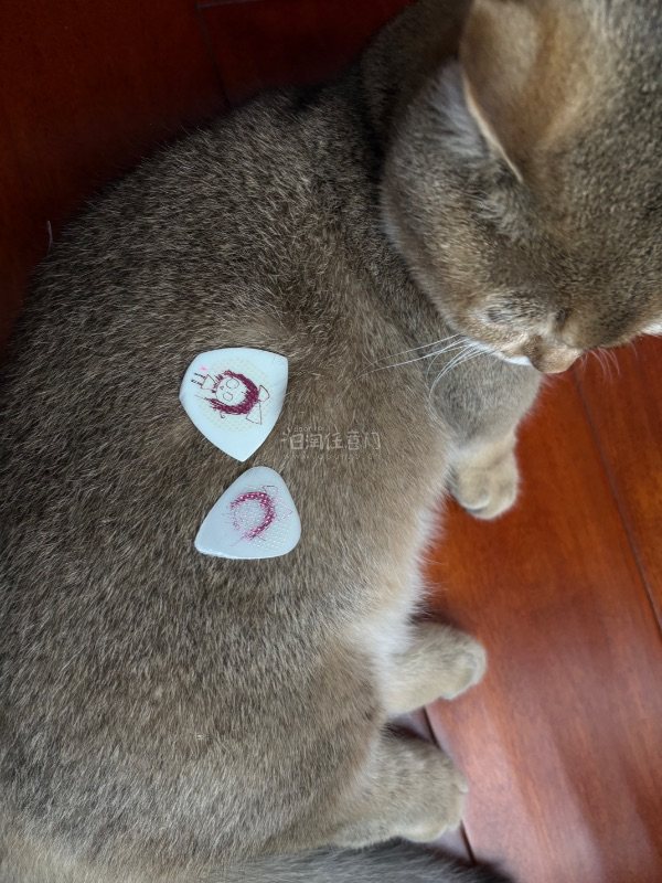 我终于收到主唱拨片了、客服回复及时、处理售后迅速、让我圆梦、竹蜻蜓很快 马上就到了，完全没有让我等太久