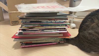 这次在日拍一口价拿下了二宫和也的大盘 价格划算 但是重量非常吓人 只能选邮费相对低的海运。
虽然时间长 但是还在春节前收到啦 很开心
海运的包装到家也一如既往的严实 下回可以放心用海运走大件啦。