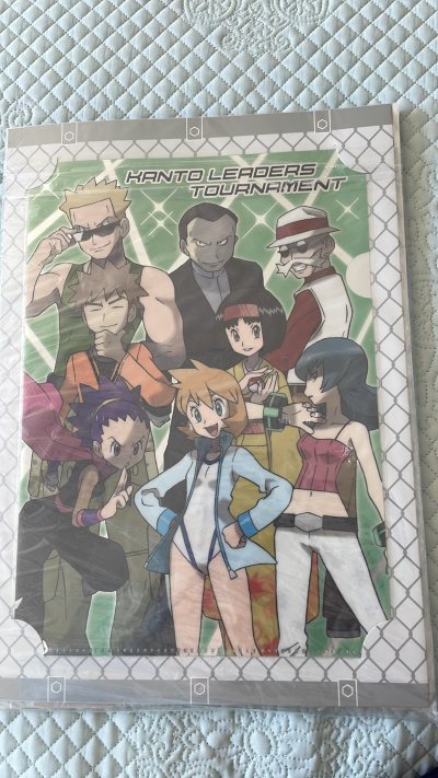 宝可梦大师训练师 文件夹 书签套装 ，非常壮观漂亮 全新未拆，第一时间用挖煤姬下单成功购买，感谢第一时间切煤