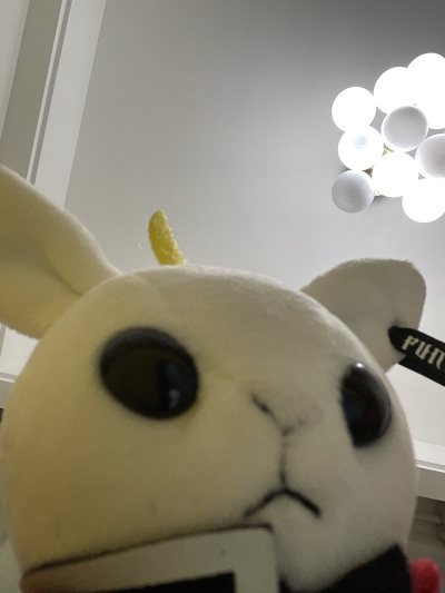 很快但可恶的海关???孩子很快就到家了非常好的一次购物体验！谷子安全到家没有一点伤特别萌的兔子！！？