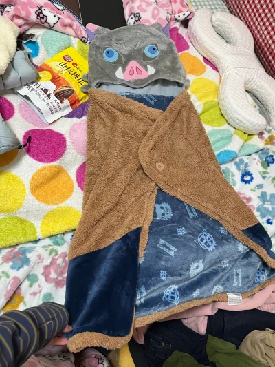 usj的一款鬼灭之刃猪猪毛毯。国内没得卖，正好在挖煤姬上面刷到了，立即下单了。大概20多天就到国内了，很萌的一款，适合午睡用哈