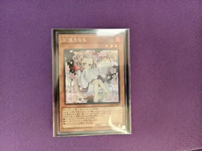 挖煤姬购物分享