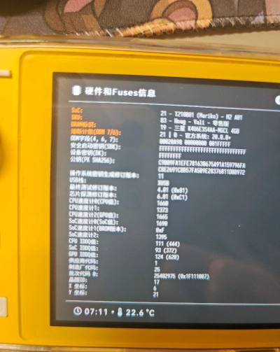 包裹发货快，物流稳妥，包装严实无磕碰。Switch Lite成色比预期好，按键灵敏、续航正常，屏幕无亮点坏点，整体很新。卖家描述如实，沟通顺畅，配件齐全，使用体验超棒。非常满意的一次海淘，值得推荐！