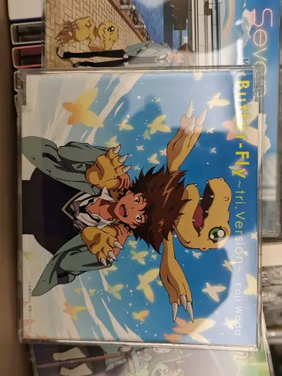 这次买到了几张数码宝贝的CD，也是些经典曲目，东西有点多用了海运，挖煤姬打包的很好，虽然被海关查验了但很幸运没被税。