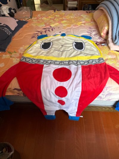 非常好熊皮……终于拥有了kuma毯子好耶，竹蜻蜓挺好使的过关发货都很顺利，包税就是好啊（念），下次还来） 



