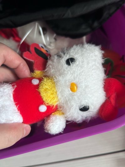 还不错的一次购物体验，把春节期间还能正常的审核发货，非常点赞，希望能够多出一点运费的优惠券，或者是降低Plus路线的费用更好