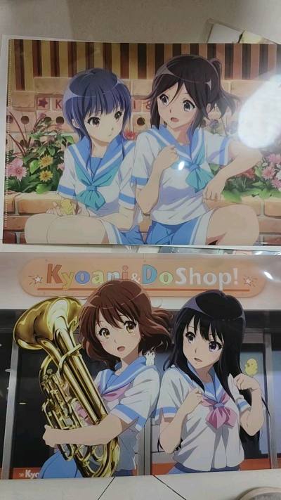 包装的纸板一如既往厚实，泡沫纸也安全感满满，没有买固定包装，国际运费也不贵，买的很多动漫CD，价格都不错，基本上都很新，运输没有破损，比较不错的一次购物体验。