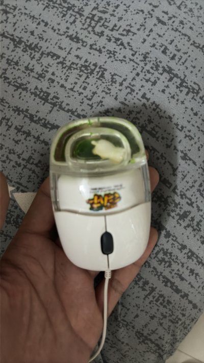 这次买了龙骑的游戏机对决玩具，还有热斗小马的鼠标，没想到龙骑这盒又大又重，鼠标也有液体不能空运，只能选择ems了。