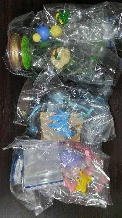 适合用竹蜻蜓，不适合用包税的plus，因为总价低，两个合单还不到收税的上限，如果显示错误，可以提交工单给客服，我这边就帮我修正过来了，挖煤姬这一点还是不错的。