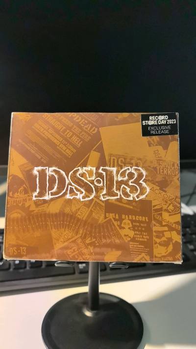 我有一本介绍朋克唱片的编年史书籍The FLEX，从书中知道，户川纯70年代就开始玩朋克了，质量相当高，还收到了印尼版的DS-13全集