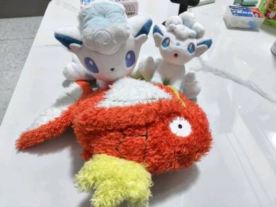 终于切到自己喜欢的鲤鱼王还有冰六尾，我最喜欢的是这只可可爱爱的原创冰六尾！！价格也很满意，挖煤姬的购物体验真的是非常的便捷，使用起来特别方便，而且没有什么繁琐的步骤，每次购物发货都很简单，基本只需要付钱就行了，很满意！！