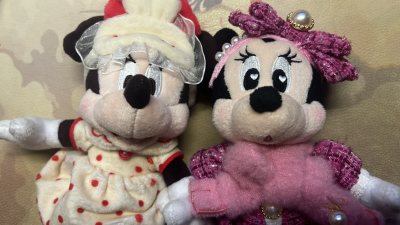 是两只断货之后狠狠种草的两只米妮 煤炉虽然也有轻微溢价但是还算好价 于是火速购入了嘿嘿嘿 到手之后果然十分美丽 太太太好看了呜呜呜 米妮天下第一