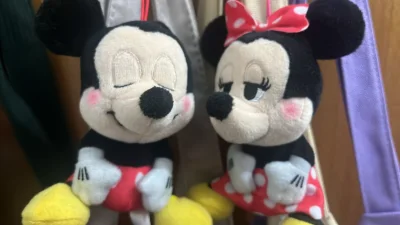 偶然刷到的一组很可爱的各种表情的米奇米妮小挂件 煤炉上很多超级大好价拿下四只 到手果然非常可爱嘻嘻?十分喜爱小鼻嘎