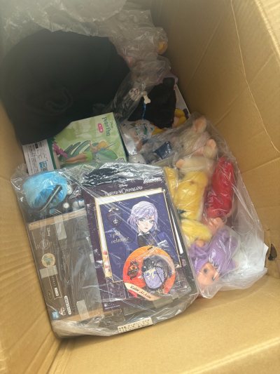 挖煤姬海淘体验拉满！下单的海贼王2011年老款毛绒三件套完美无瑕，吊牌齐全，还有迪士尼扭曲仙境和皮克斯挂件，品相远超预期。国际物流清关速度快，打包严实无破损，代购流程清晰，后续还会继续蹲老物！


