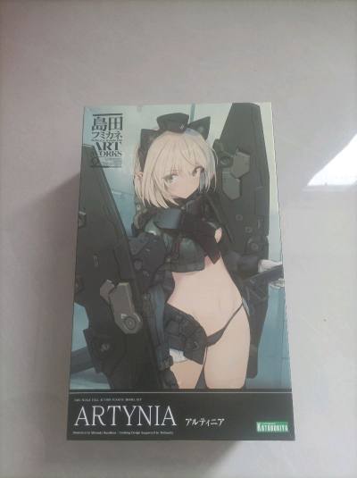 此次入手的是寿屋的阿蒂尼娅，之前错过了只能海淘碰碰运气，和别的东西一起发的竹蜻蜓专线，打包跟往常一样结实，到手五角尖尖