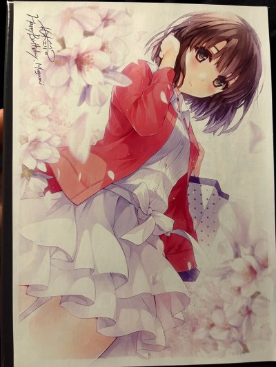 路人女主bd分享