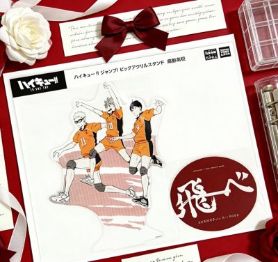 挖煤姬真的是日淘神器！操作简单易懂，中文界面超友好，代拍速度快、成功率高。打包特别用心，气泡膜裹得严实，谷子、周边到手完好无损。合单省运费，物流追踪清晰，客服回复及时耐心，价格透明划算，能轻松挖到国内难买的好物，吃谷人必备，强烈推荐！