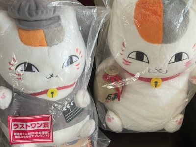 物流过程和购买过程都很顺利，最主要是搜索引擎真的很好用，已经使用了几个月的挖煤姬啦，收到了好多好多喜欢的玩偶！猫猫大军再添一批主力军！希望之后能有更多优惠券哈哈～