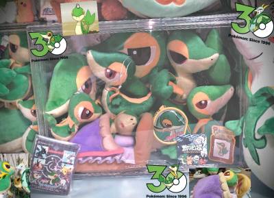 七只宝宝都安全到家