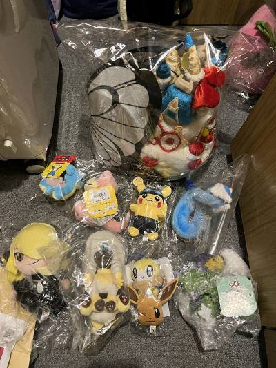 这一箱走的海运，刚好一个月到达，每个玩偶都有独立的包装。竹兰玩偶胶皮很容易破损，到手的时候脚皮完好，牌子也没折，非常满意。买了拍照服务，到手和拍照的一样