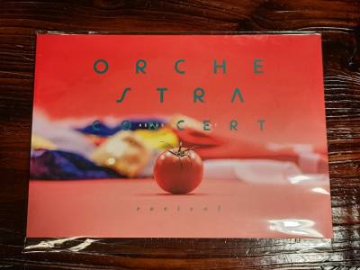 终于买到少女歌剧交响再演场刊的瞬间，指尖触到封面的烫金纹路时，心跳都跟着慢了半拍——这本册子像藏着整个舞台的星光，翻开第一页，卡司照片里的少女们穿着演出服笑得分外鲜活，每一根发丝都透着舞台的热度。