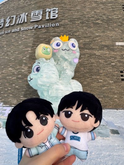 很好，送过来的时候一点损坏都没有，物流追踪很清晰想要查都能查到，竹蜻蜓包税线很省钱也很快，下次还会来买！