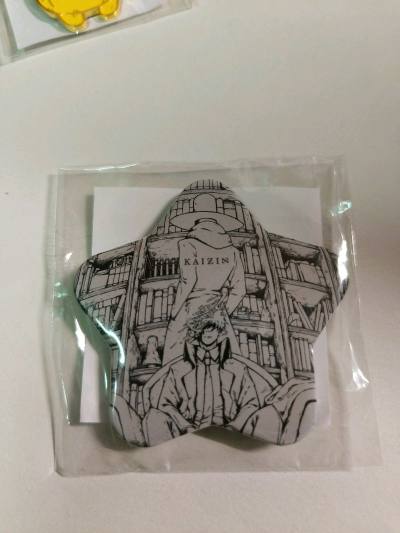 买了很多二次元小物件和一些笔和衣服
买了日本唱见Eve的演唱会周边，鬼灭之刃的限定挂件，
买了一件全新的east boy的卫衣和一件vintage的T恤
最后买了一些铅笔