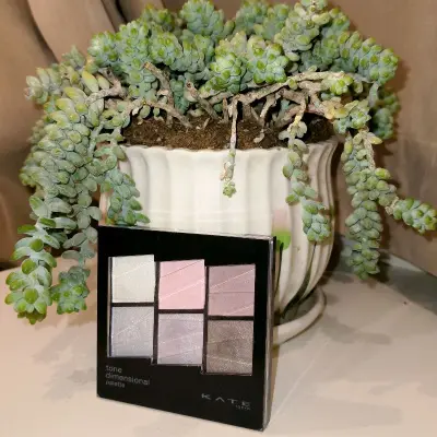 在挖煤姬海淘入手倩丽+KATE眼影，开箱很满意，打包严实无破损，物流顺畅，眼影清透温柔，粉质细腻不飞粉，日常通勤很好用，正品靠谱，性价比拉满，下次还来买！