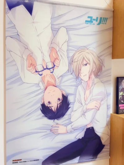 这次切的还是一箱骏河屋，选择了竹蜻蜓专线，赶在过年前到货，打包很好，挂画尺寸刚好卡的国际箱，没有损坏，非常感谢