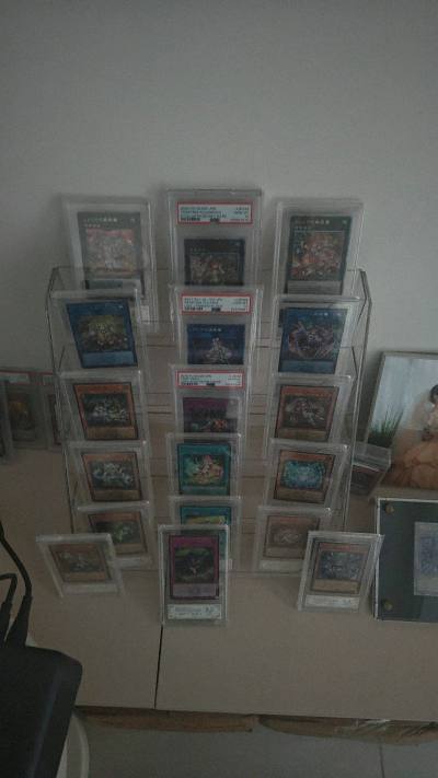 又快又好，pop200的虫惑魔也能买到啦。一整套的虫惑魔香香哒，而且编号也好，卡品也好，挖煤姬的竹青挺野很棒，直接没交关税