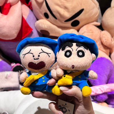 在挖煤姬成功入手正南和古早小新毛绒，品相超满意！操作简单、下单顺畅，走竹蜻蜓专线，物流稳定、打包严实，到手无压无破损。日淘周边超省心，一次超开心的购物体验！