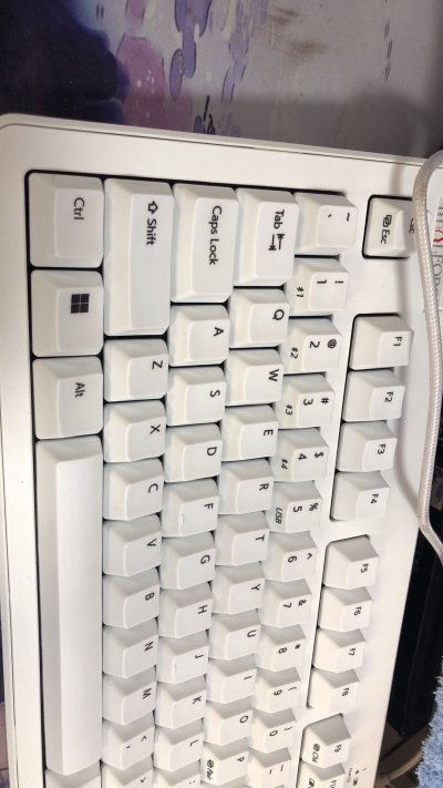 想要一把燃风键盘，奈何国内二手市场太贵！索性在挖煤姬看到差不多的，然后抱着试试的心情淘了个，十天收货，发现键盘超级新，特别喜欢！