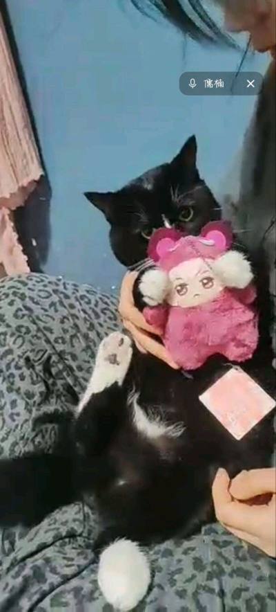 第一次挖煤成功！