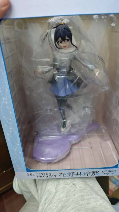 老大老大的一个手办，却只用了100块钱拿下，而且包装很好，取快递时下雨天但是由于日本商家包装很好，里面货物丝毫没事