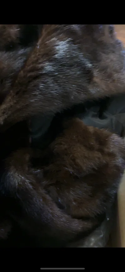 非常满意的一次购物体验，收到物品，品质很好，物流也很快，感谢卖家的发货速度，还会光顾。整体非常不错！
  
 


 