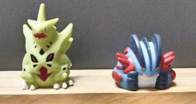 从下单到收货全程省心
语言不通完全不是问题
自动翻译+贴心客服，新手也零障碍
正品保障、价格友好、打包用心
喜欢日淘的姐妹一定要试试，绝不踩雷。
晒晒我新到的mega班吉拉和mega巨沼怪